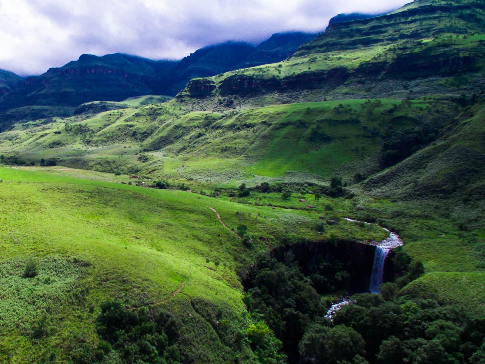 Wilderness